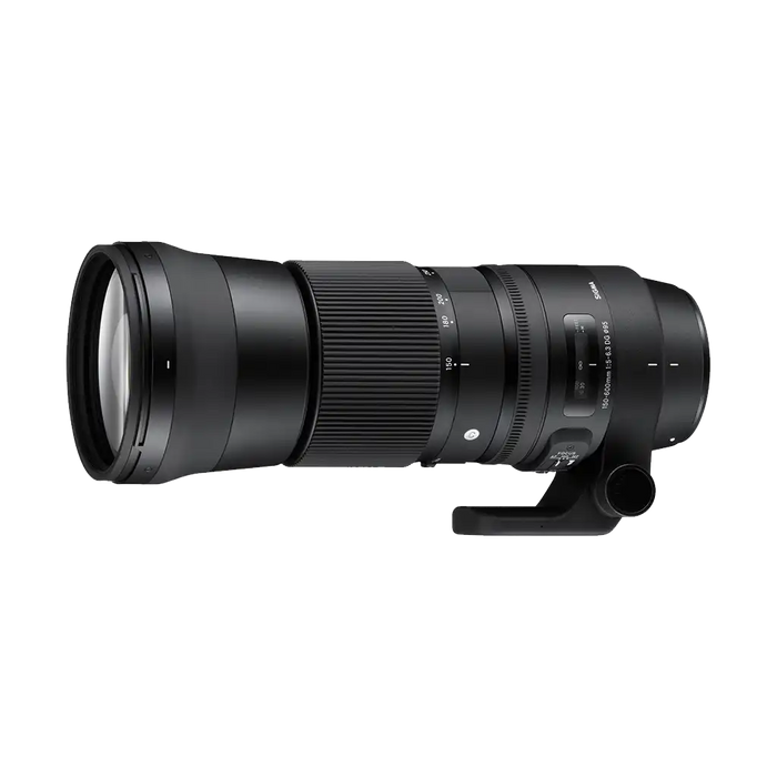 Sigma 150-600mm f/5-6.3 DG OS HSM Contemporary for Nikon (used)