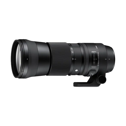Sigma 150-600mm f/5-6.3 DG OS HSM Contemporary for Nikon (used)