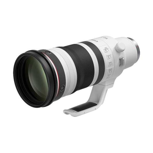 Canon RF 100-300mm f/2.8 L IS USM Lens (used)