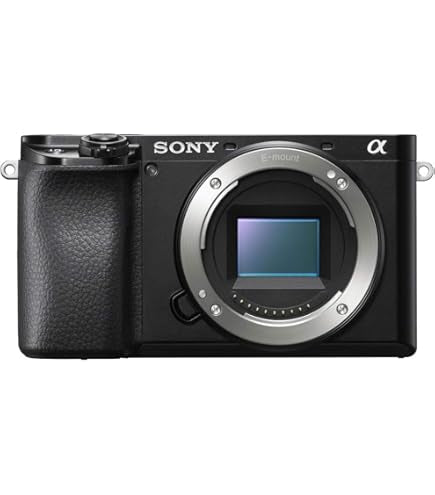 SONY ALPHA A6300 Body (used)