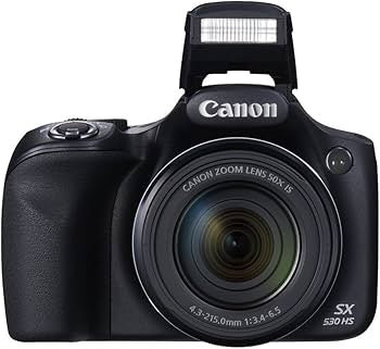 Canon PowerShot SX530 HS Digital Camera (used)