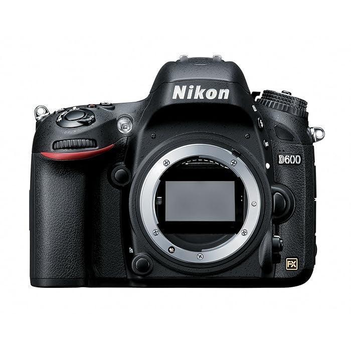 Nikon D600 24.3 MP CMOS Digital SLR Camera body (used)