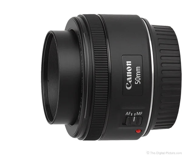 Canon EF 50mm f/1.8 STM Lens
