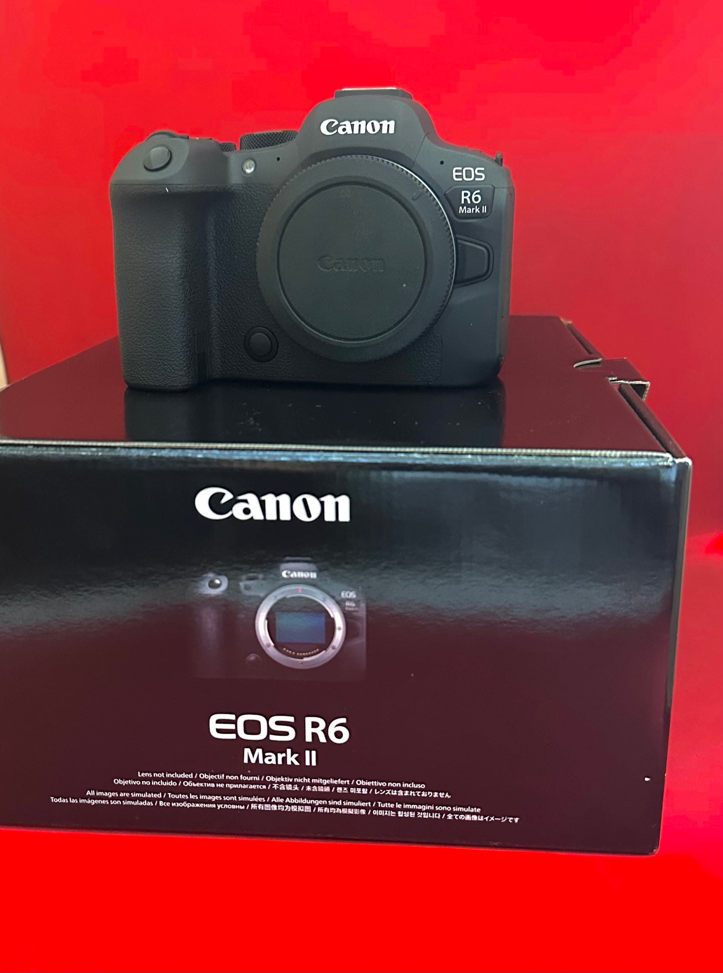 Canon EOS R6 Mark II Mirrorless Camera (used)