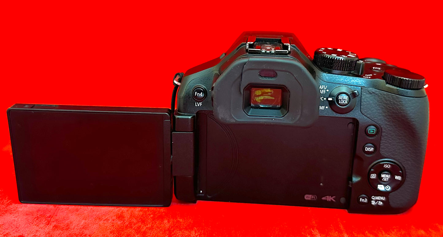 Panasonic Lumix FZ300 Bridge 4K Camera (Used)