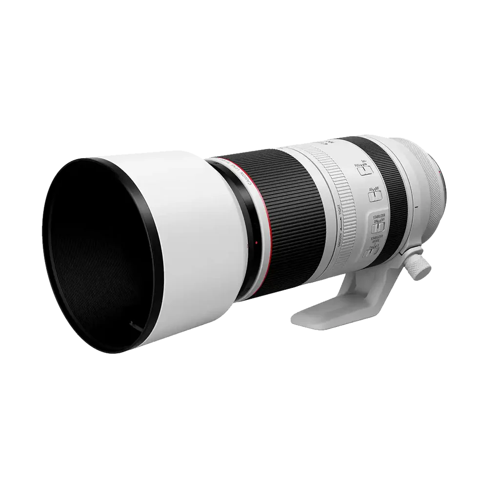 Canon RF 100-500mm f/4.5-7.1L IS USM Lens (used)