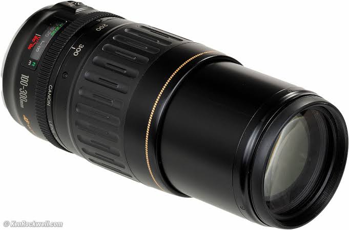 Canon EF 100-300mm f/4.5-5.6 USM Telephoto Zoom  (used)