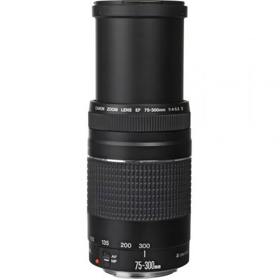 Canon Lense EF 75-300mm f/4-5.6 III (used)